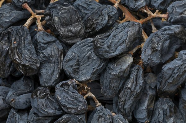 Comment participer à des vendanges ouvertes au public dans la vallée du Rhin en Allemagne ?