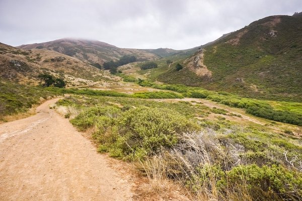 Peut-on suivre un cours de photographie spécialisé dans les paysages marins durant une croisière en Mer Baltique?