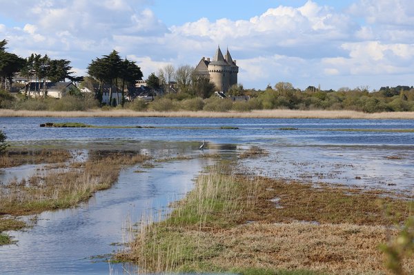 Naviguez en beauté : croisières dans le golfe du Morbihan